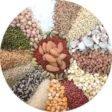 Health Mix